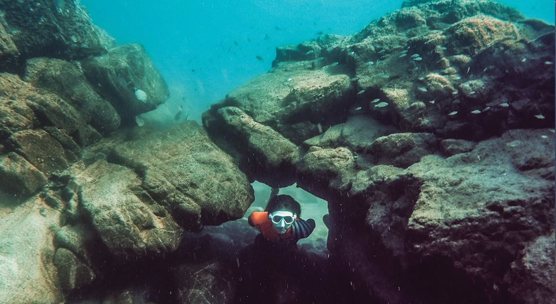 snorkeling fuerteventura