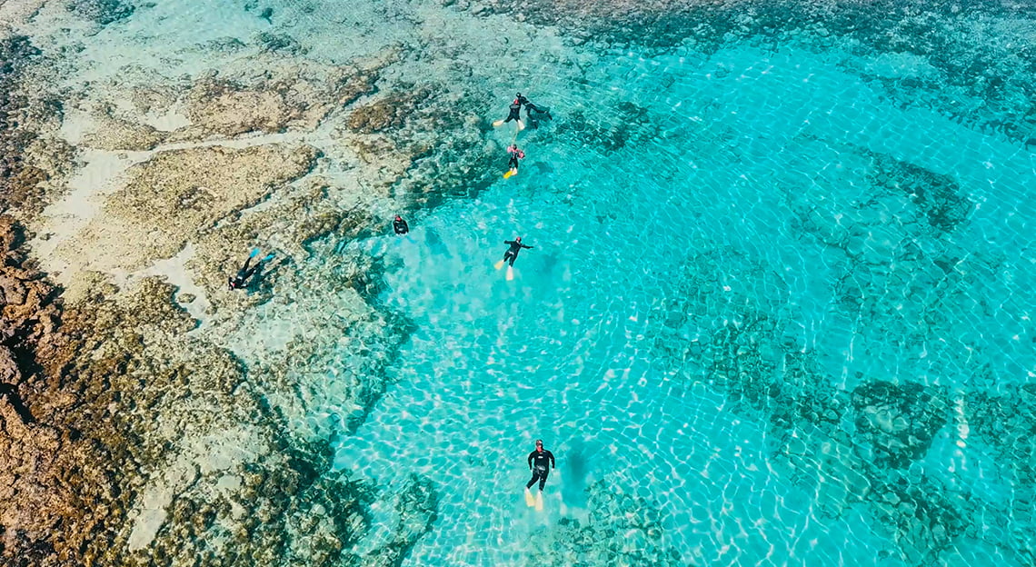 discovery course freediving