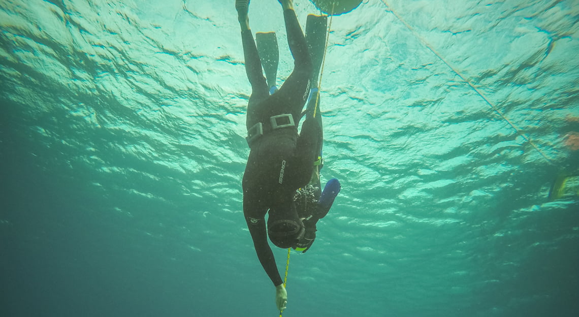 try freediving